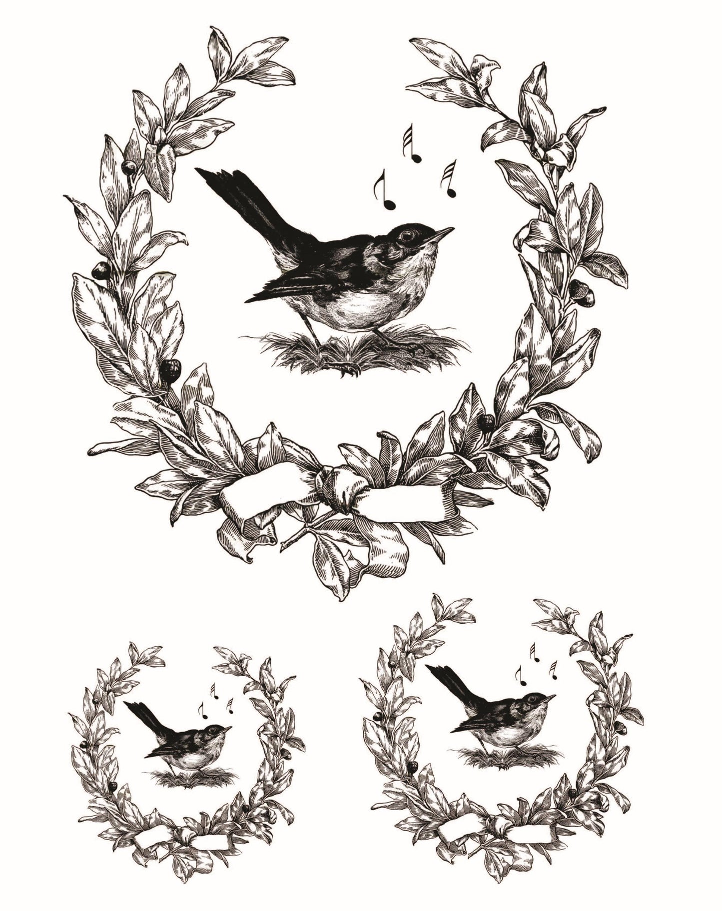 Easy Furniture Transfer - Decor Transfer - Furniture Upcycling - Floral Transfer - Vintage Bird