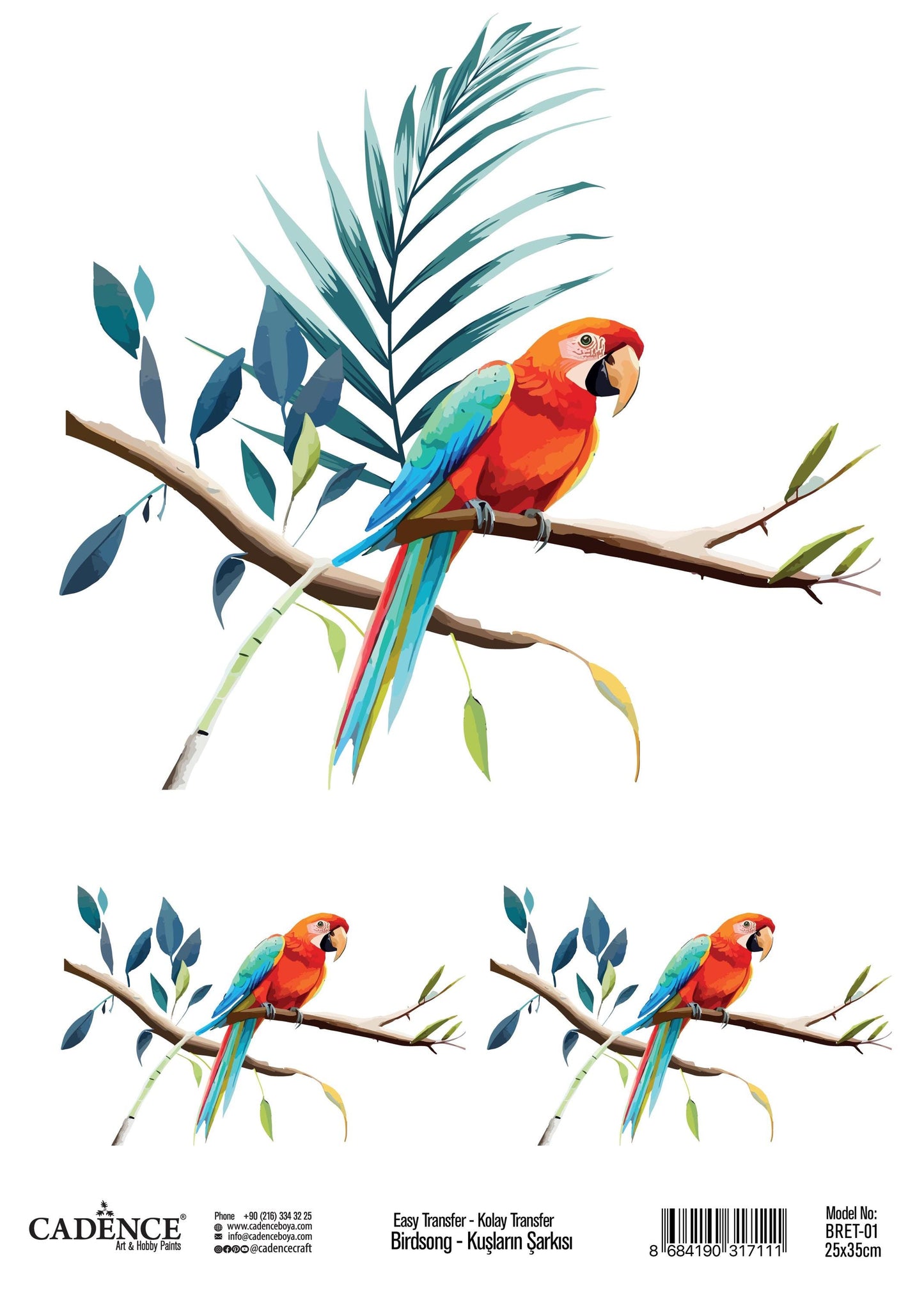 Parrot - Easy Furniture Transfer - Decor Transfer - Furniture Upcycling - Tropical Bird