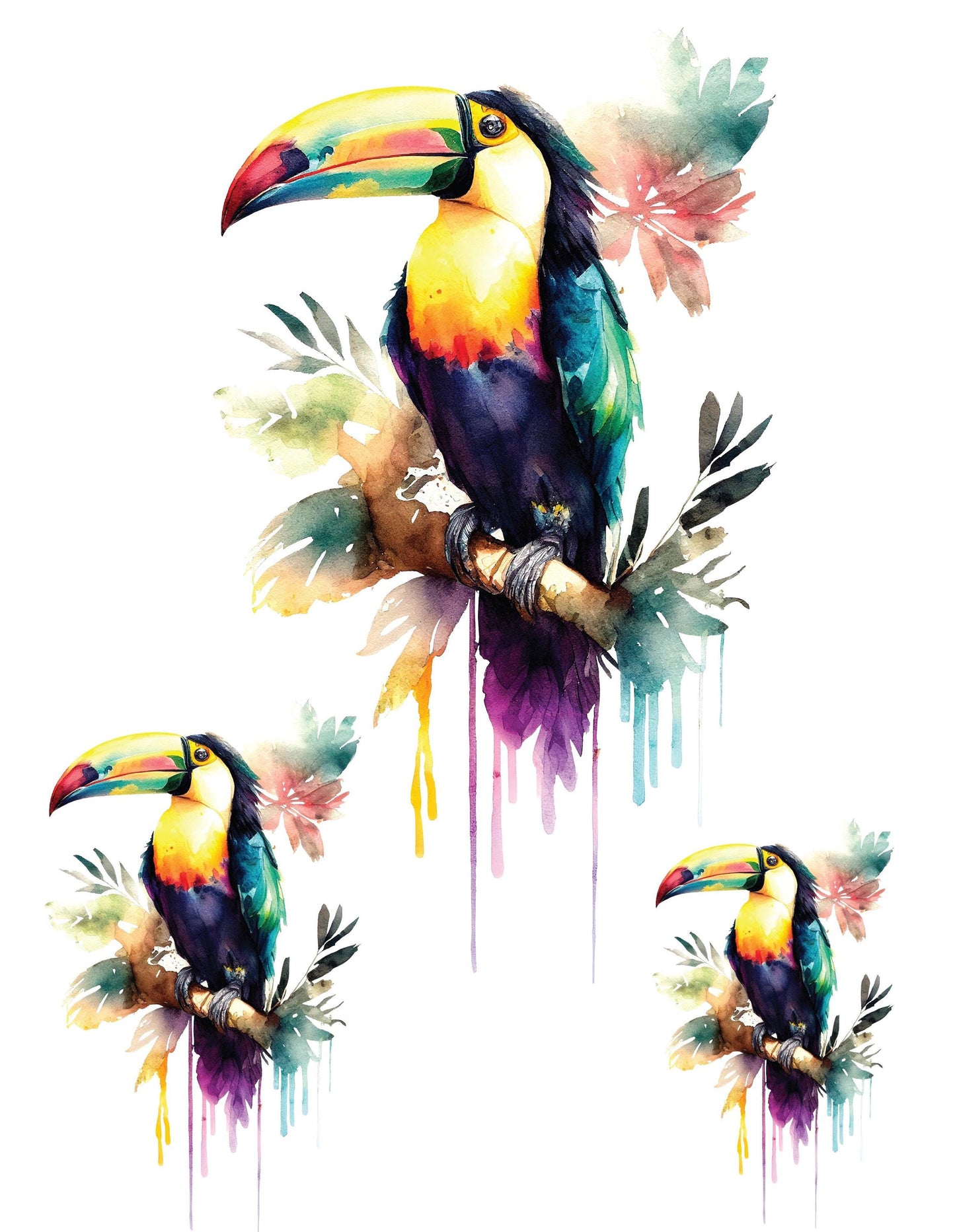 Toucans - Easy Furniture Transfer - Decor Transfer - Furniture Upcycling - Tropical Bird