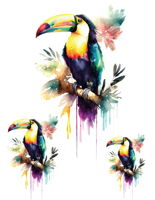 Toucans - Easy Furniture Transfer - Decor Transfer - Furniture Upcycling - Tropical Bird