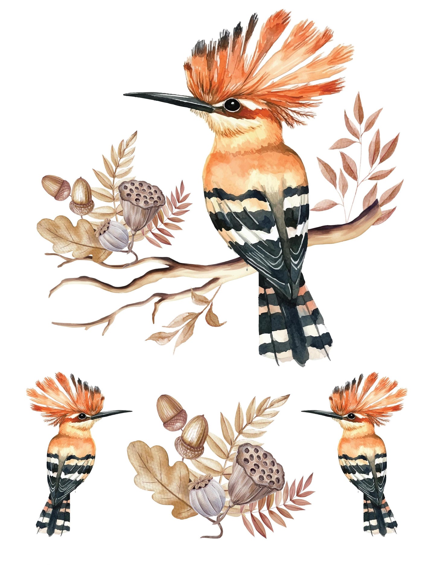 Hoopoe Birds - Easy Furniture Transfer - Decor Transfer - Furniture Upcycling - Tropical Orange Bird