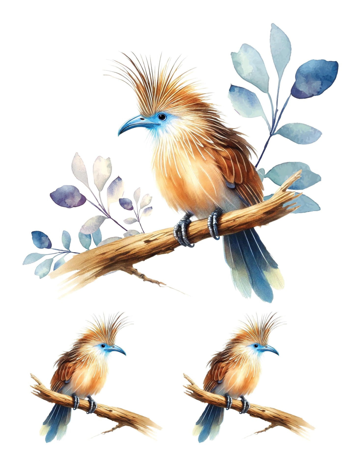 Pheasant Bird - Easy Furniture Transfer - Decor Transfer - Furniture Upcycling - Tropical Brown Bird