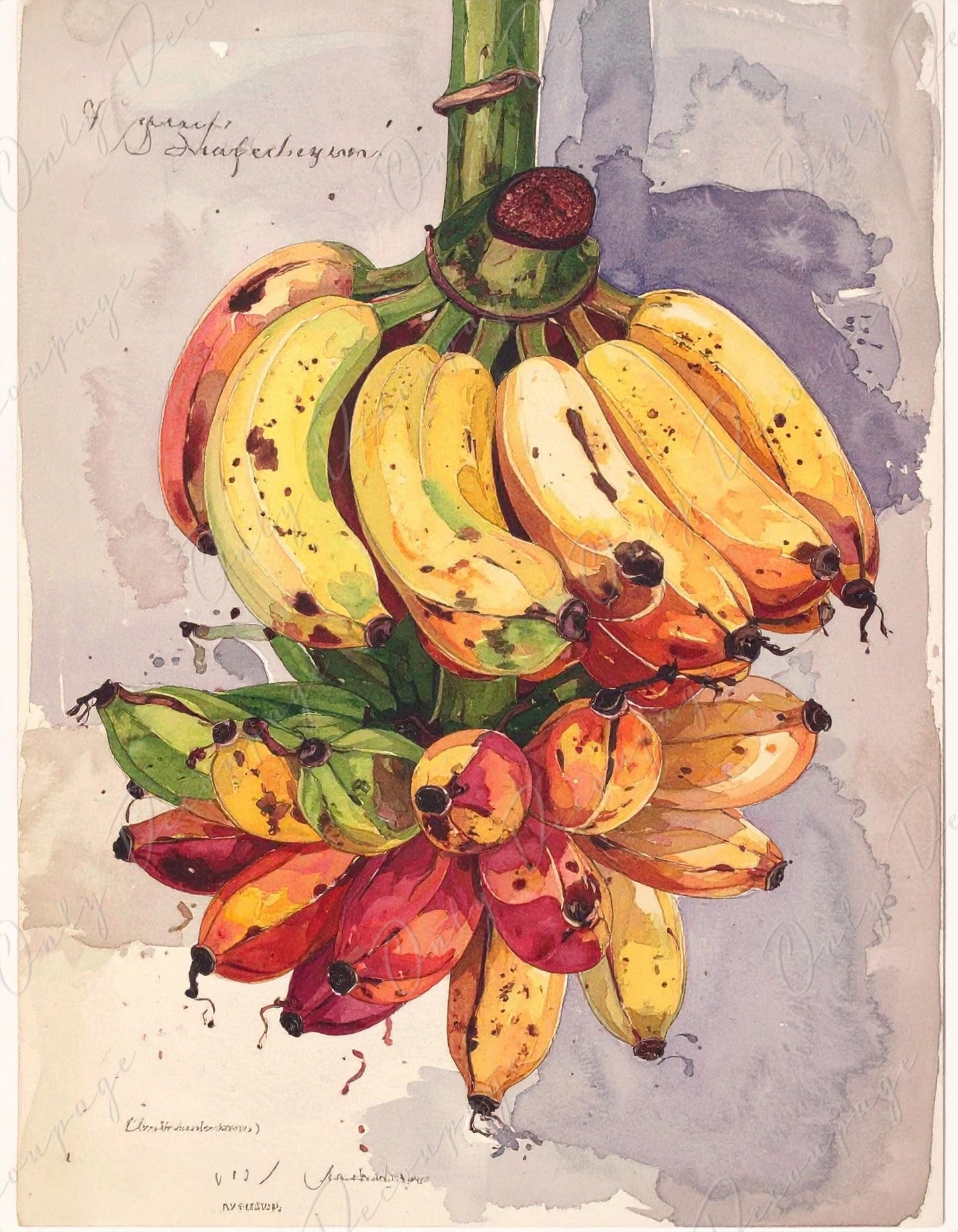 Botanical Art - 7 Size Options - Large Decoupage Paper for Furniture - Floral Decoupage - Watercolor Bananas