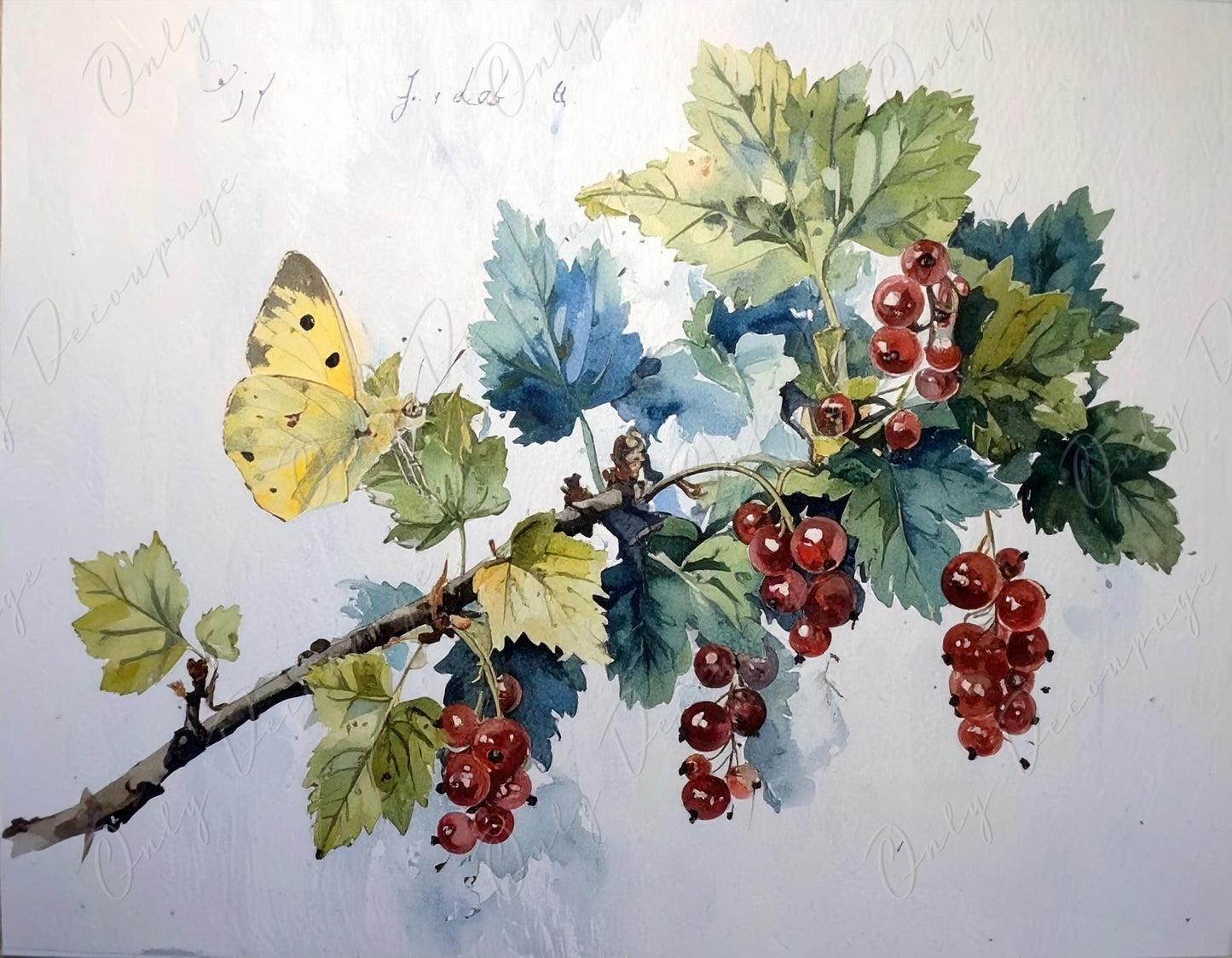 Watercolor Botanical Art - 7 Size Options - Large Decoupage Paper for Furniture - Floral Decoupage - Red Currant