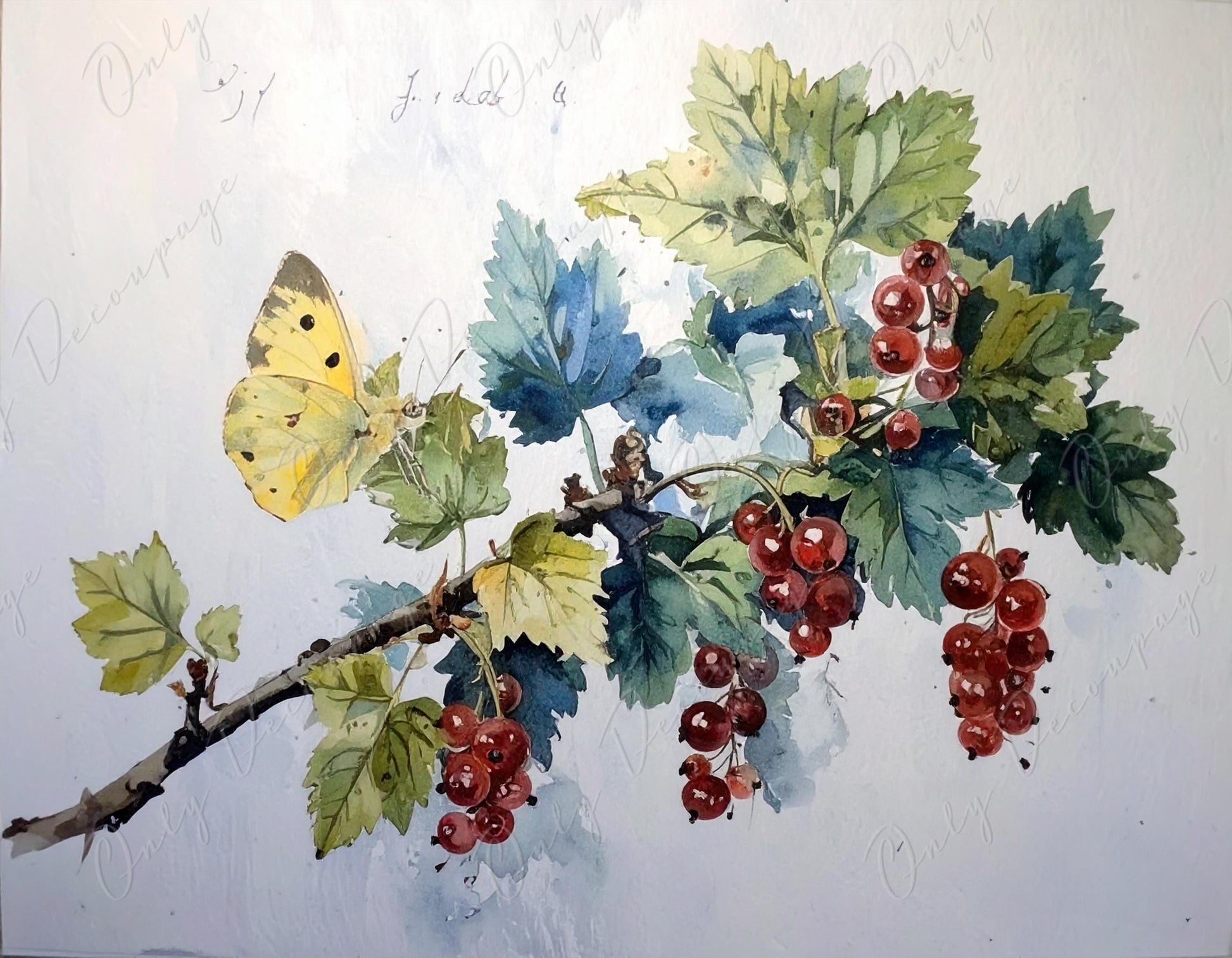 Watercolor Botanical Art - 7 Size Options - Large Decoupage Paper for Furniture - Floral Decoupage - Red Currant