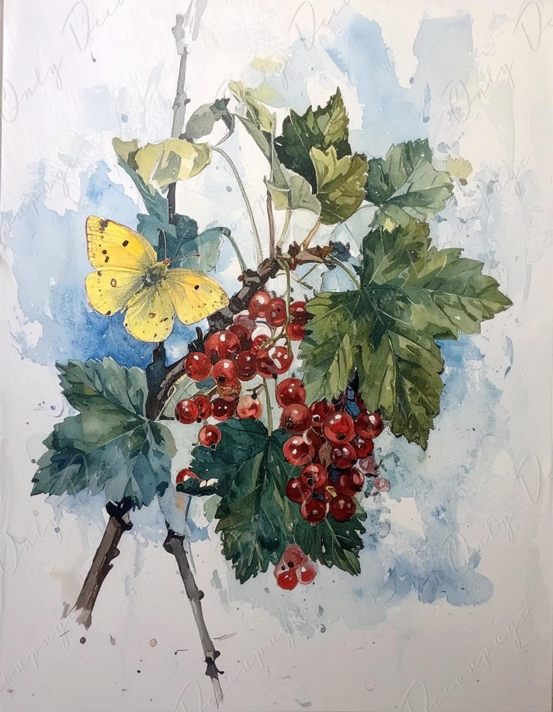 Watercolor Botanical Art - 7 Size Options - Large Decoupage Paper for Furniture - Floral Decoupage - Red Currant