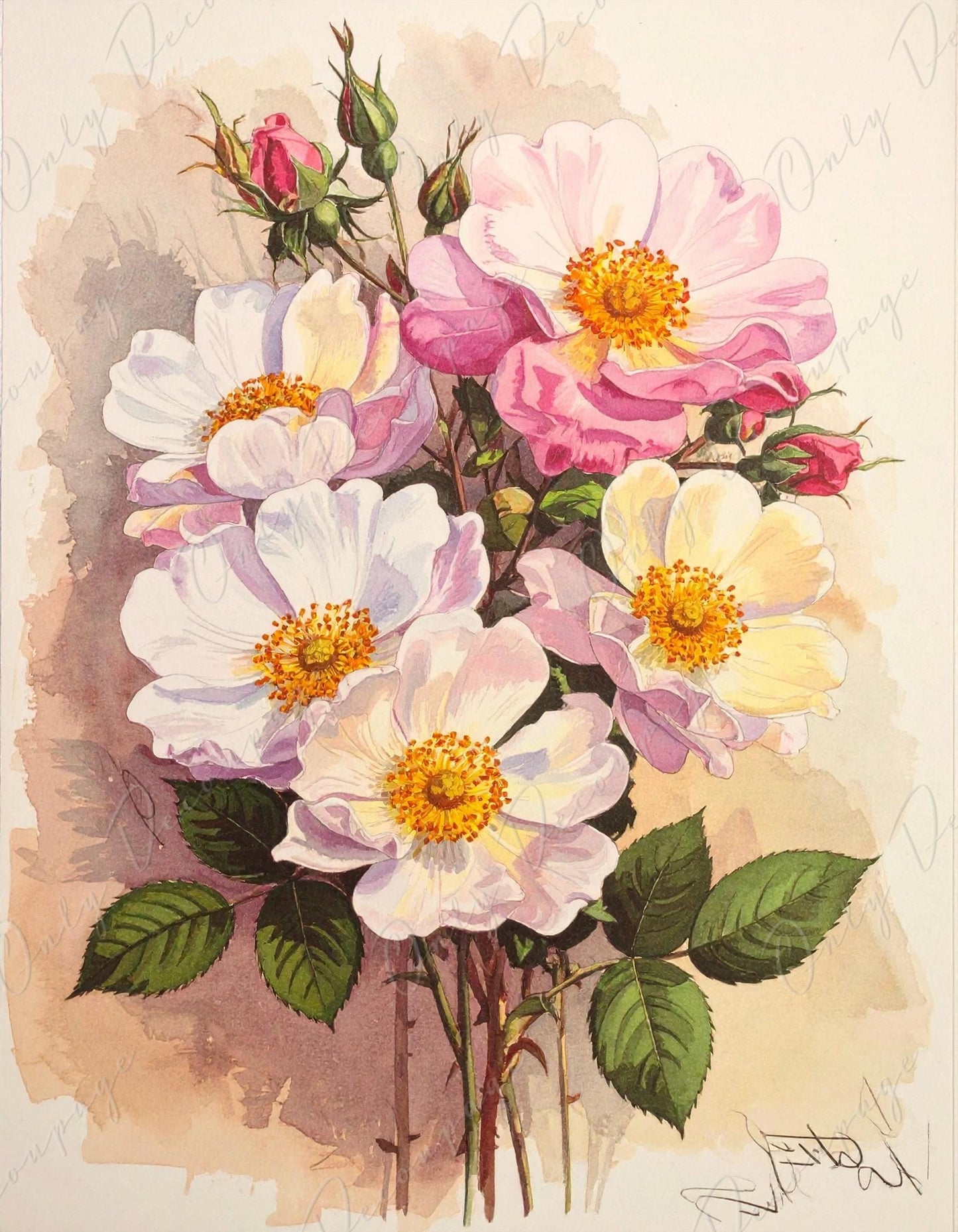 Decoupage Paper for Furniture - 7 Size Options - Botanical Art - Floral Decoupage