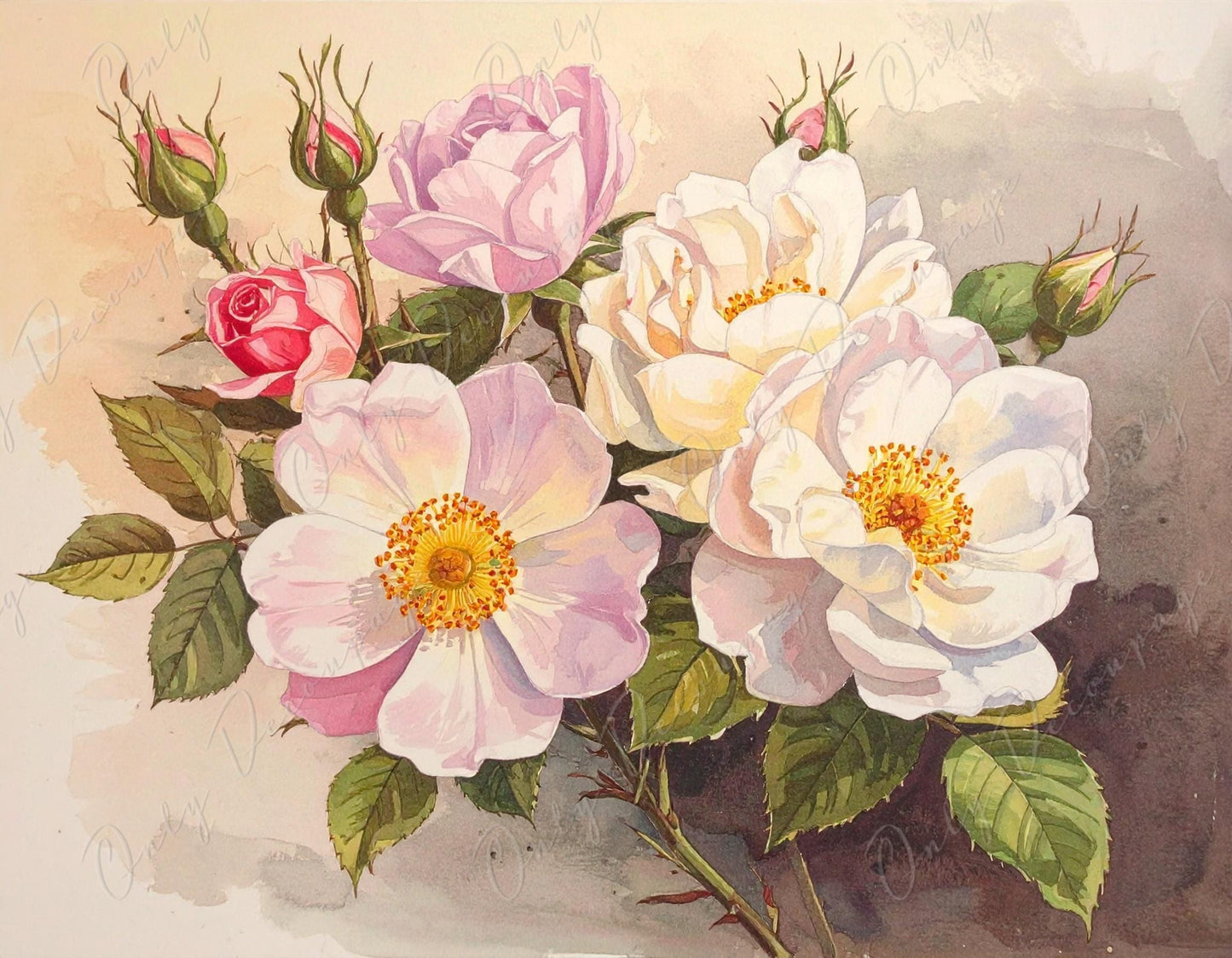 Decoupage Paper for Furniture - 7 Size Options - Botanical Art - Floral Decoupage