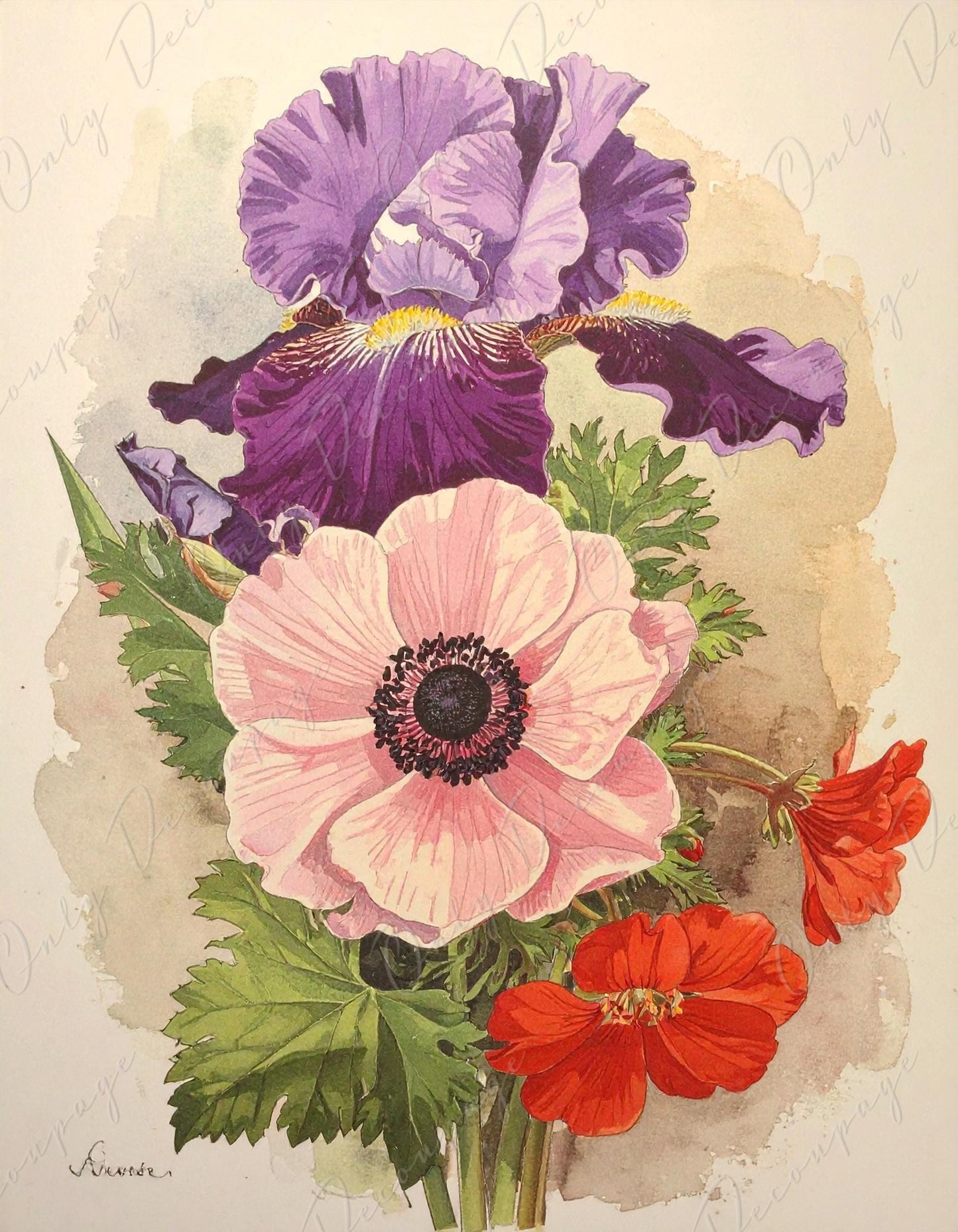 Decoupage Paper for Furniture - 7 Size Options - Botanical Art - Watercolor Floral Decoupage