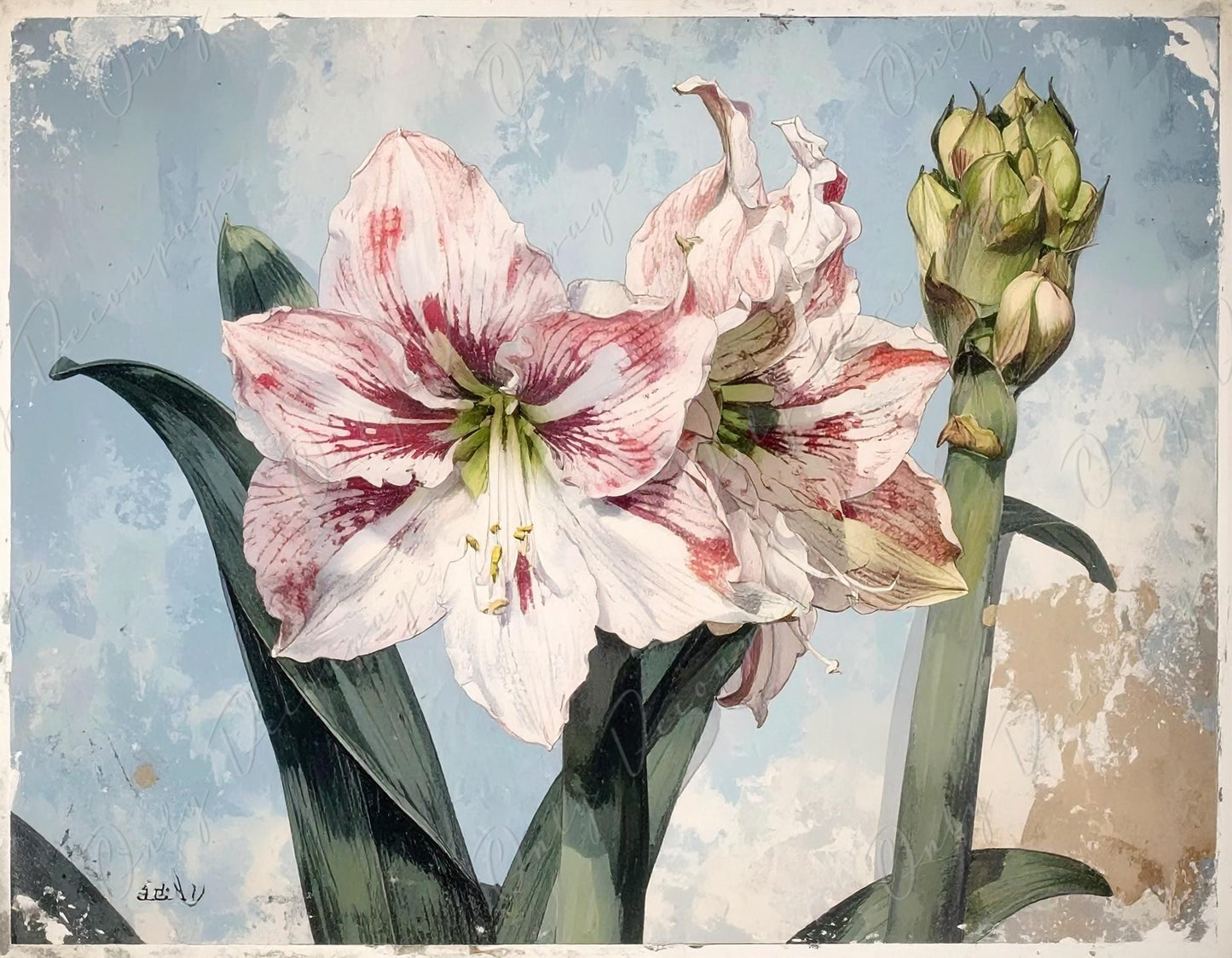 Decoupage Paper for Furniture - 7 Size Options - Botanical Art - Watercolor Floral Decoupage