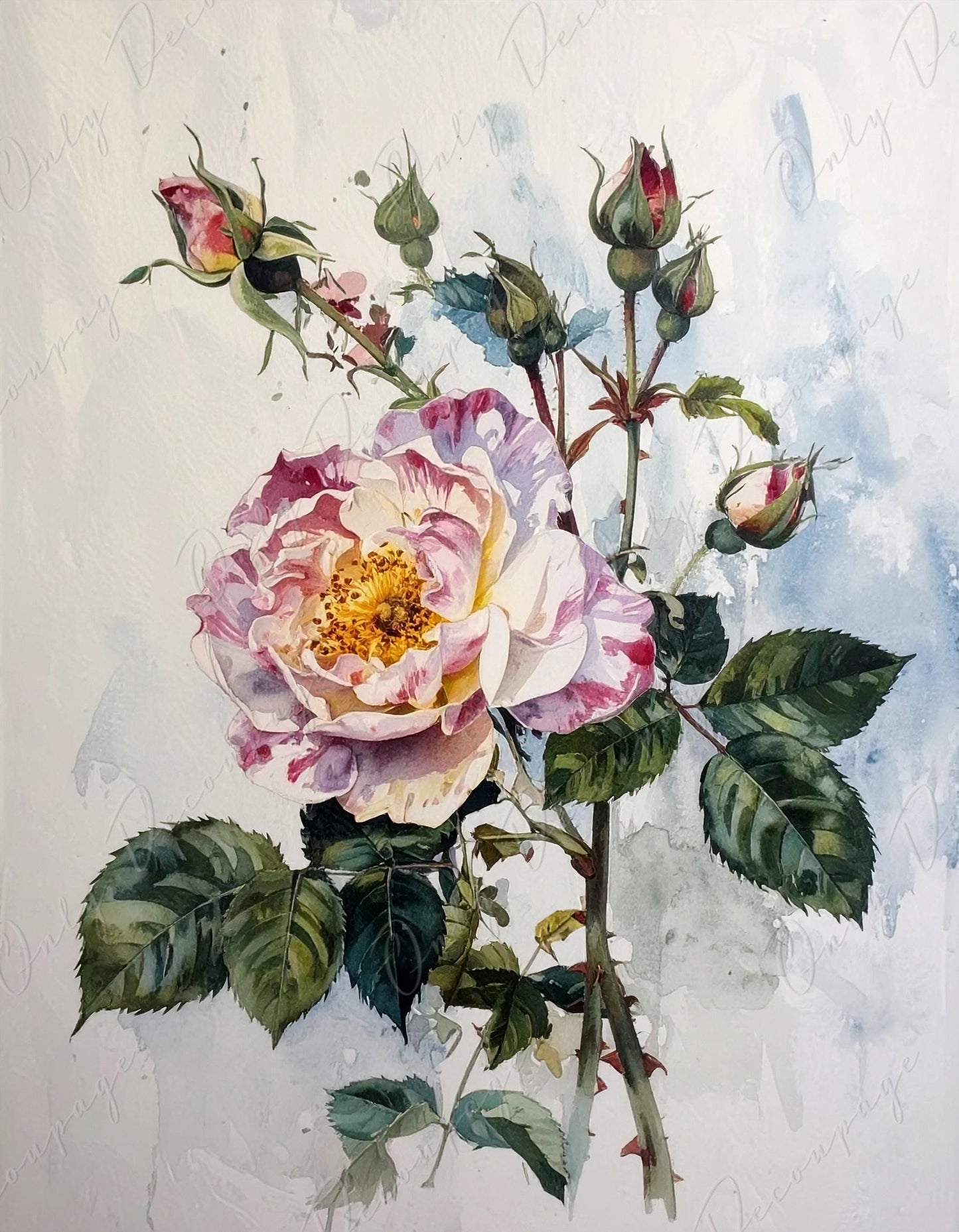 Rosa Gallica - Decoupage Paper for Furniture - 7 Size Options - Botanical Art