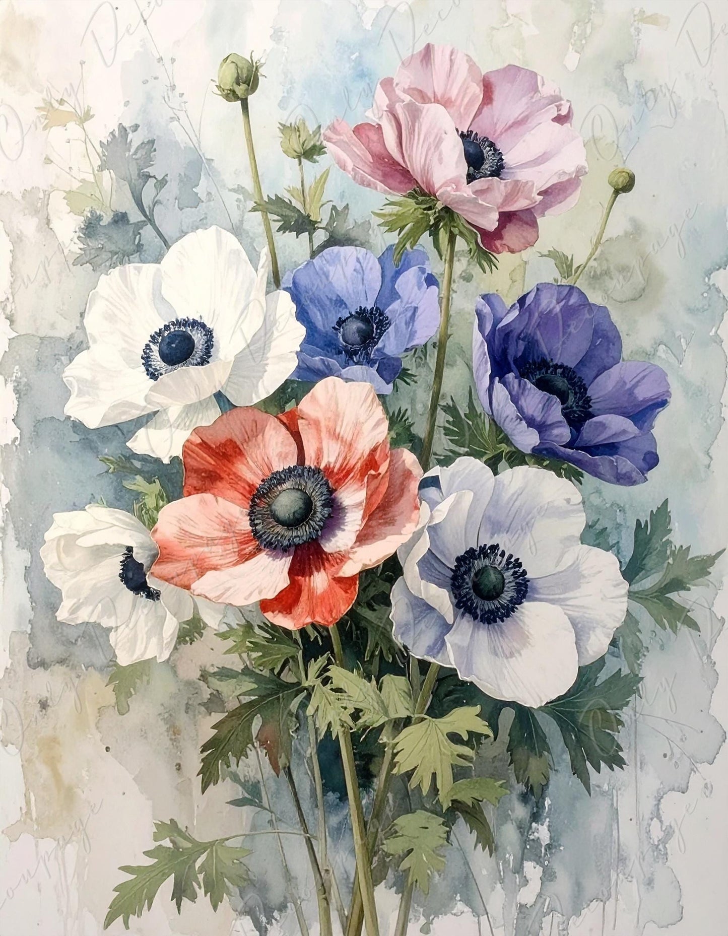 Watercolor Anemone - Decoupage Paper for Furniture - 7 Size Options - Botanical Art