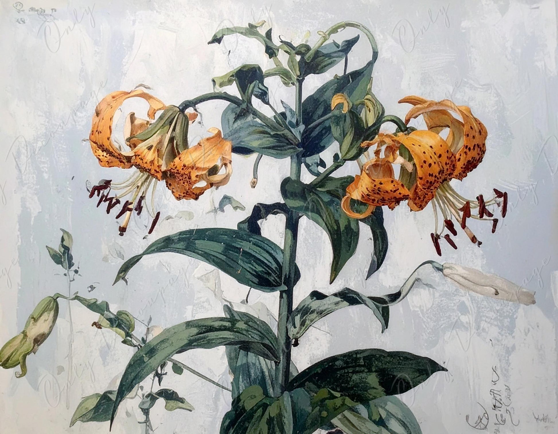 Watercolor Lilium - Decoupage Paper for Furniture - 7 Size Options - Botanical Art - Floral Decoupage