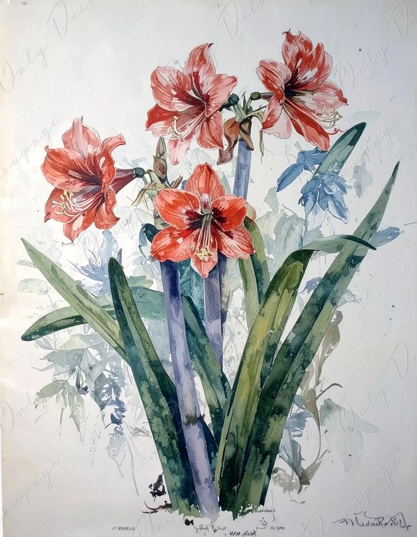 Decoupage Paper for Furniture - 7 Size Options - Botanical Art - Red Floral Decoupage - Watercolor