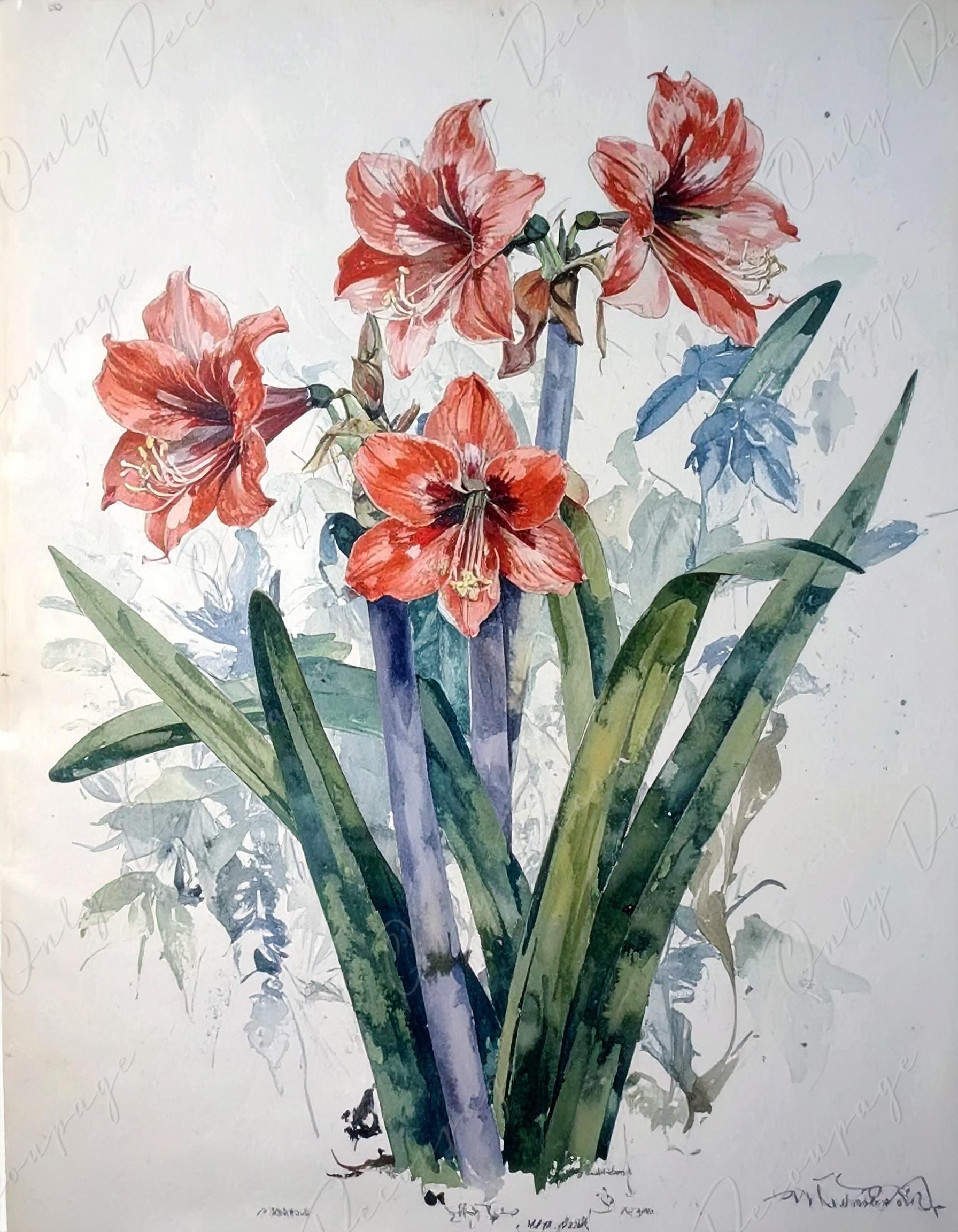 Decoupage Paper for Furniture - 7 Size Options - Botanical Art - Red Floral Decoupage - Watercolor
