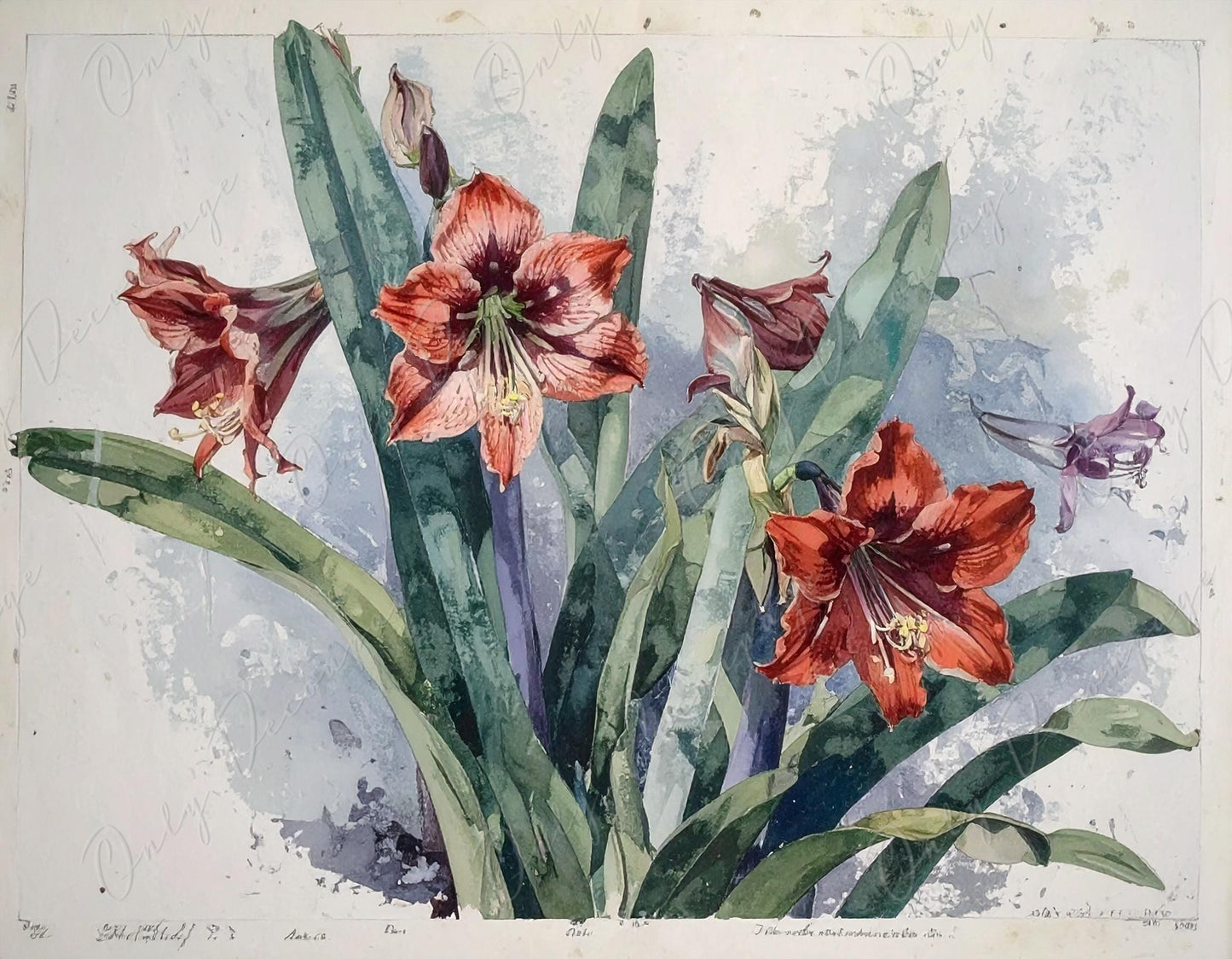 Decoupage Paper for Furniture - 7 Size Options - Botanical Art - Red Floral Decoupage - Watercolor