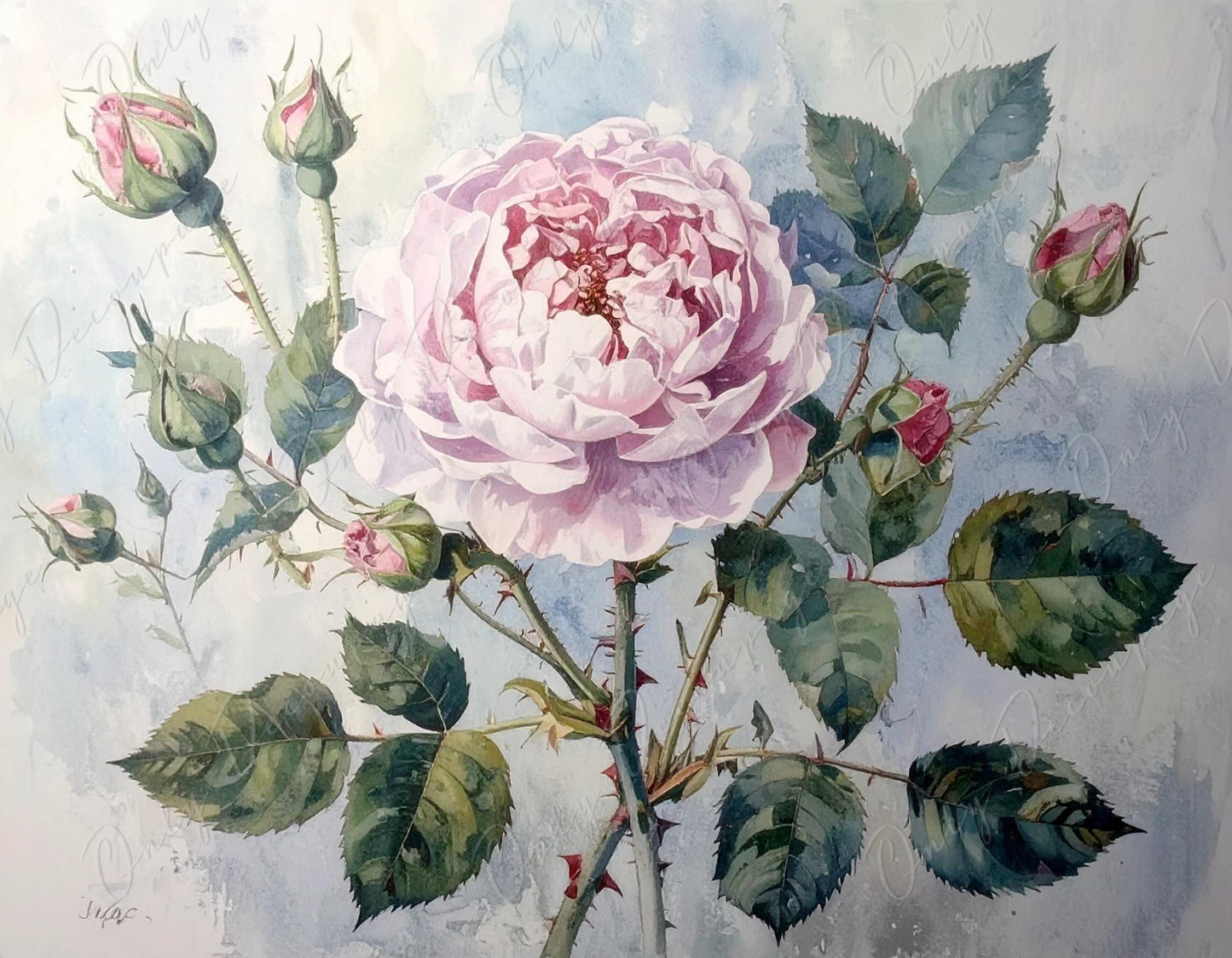 Decoupage Paper for Furniture - 7 Size Options - Botanical Art - Pastel Pink Floral Decoupage - Watercolor