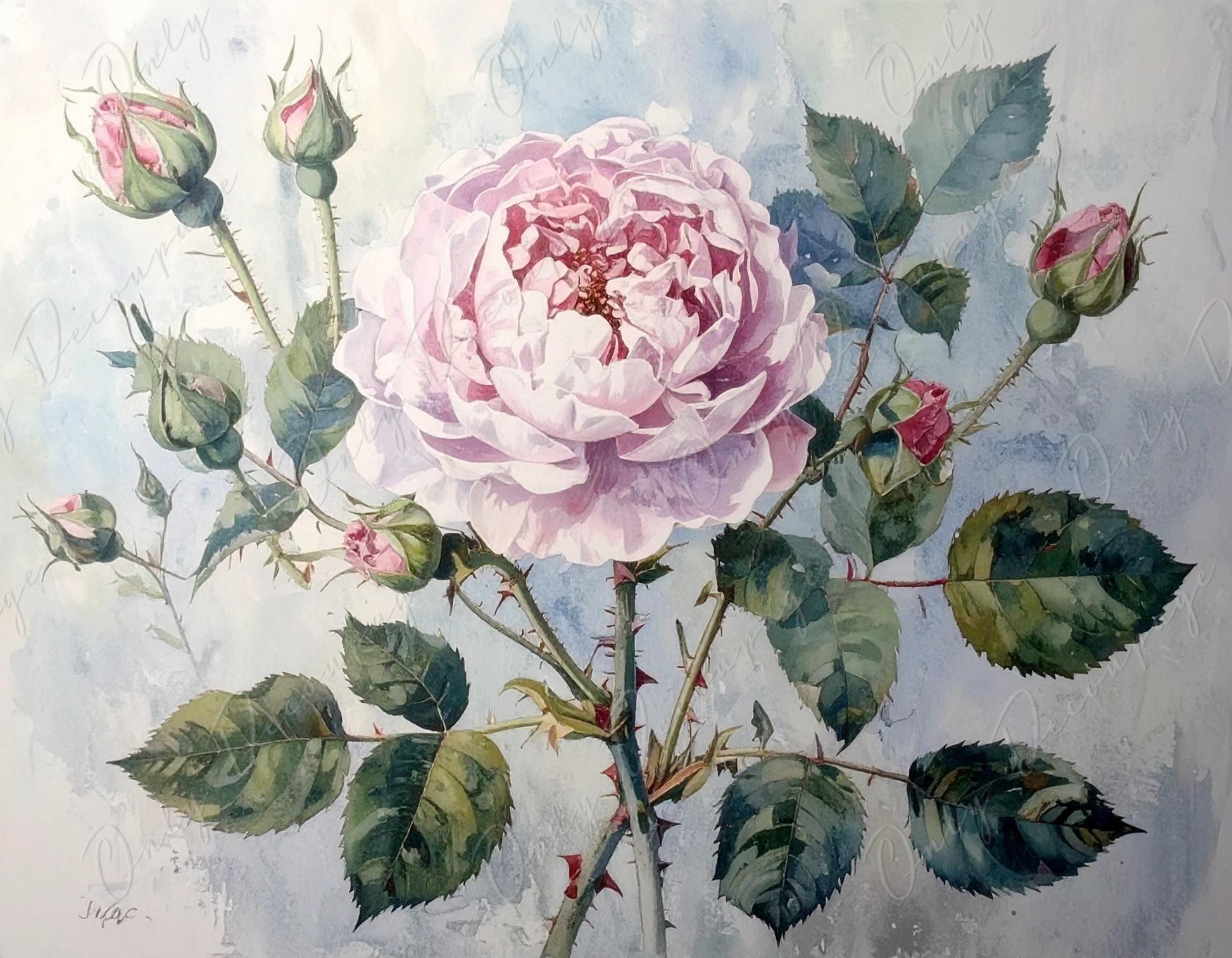 Decoupage Paper for Furniture - 7 Size Options - Botanical Art - Pastel Pink Floral Decoupage - Watercolor