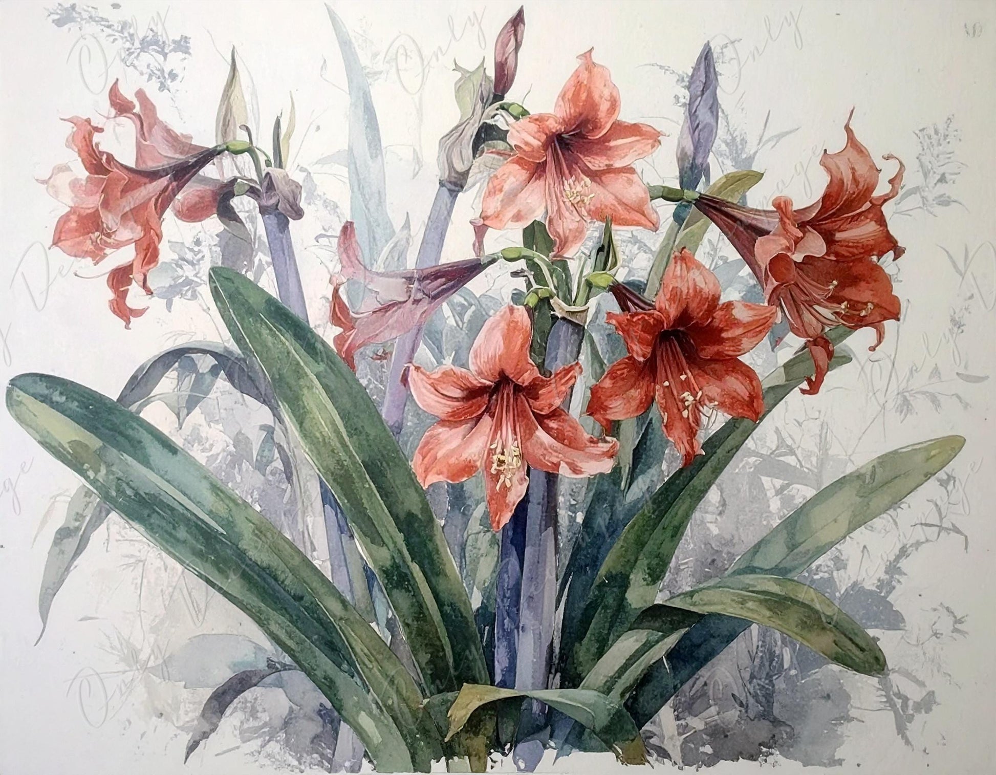 Decoupage Paper for Furniture - 7 Size Options - Botanical Art - Red Floral Decoupage - Watercolor