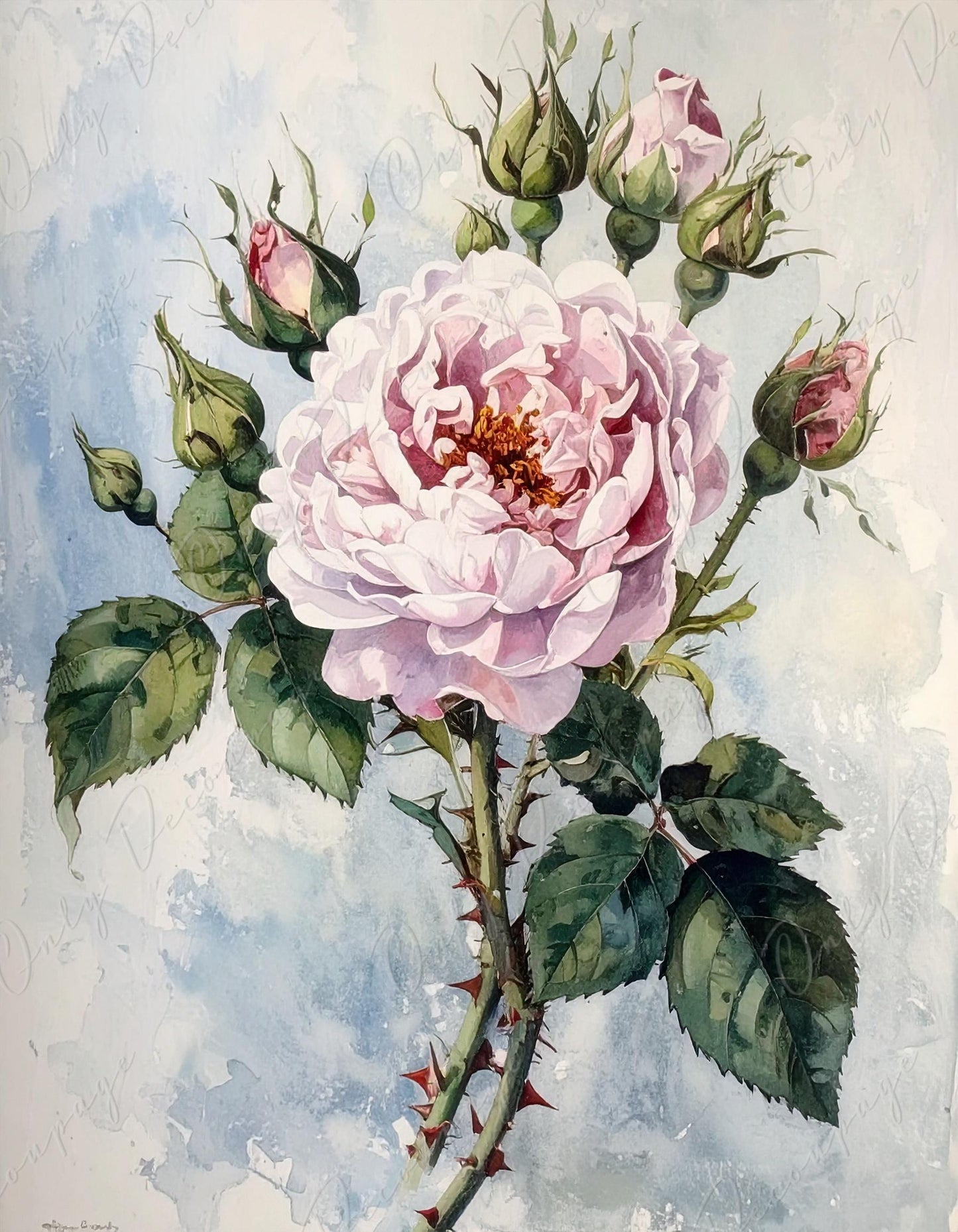 Decoupage Paper for Furniture - 7 Size Options - Botanical Art - Pastel Pink Rose - Watercolor