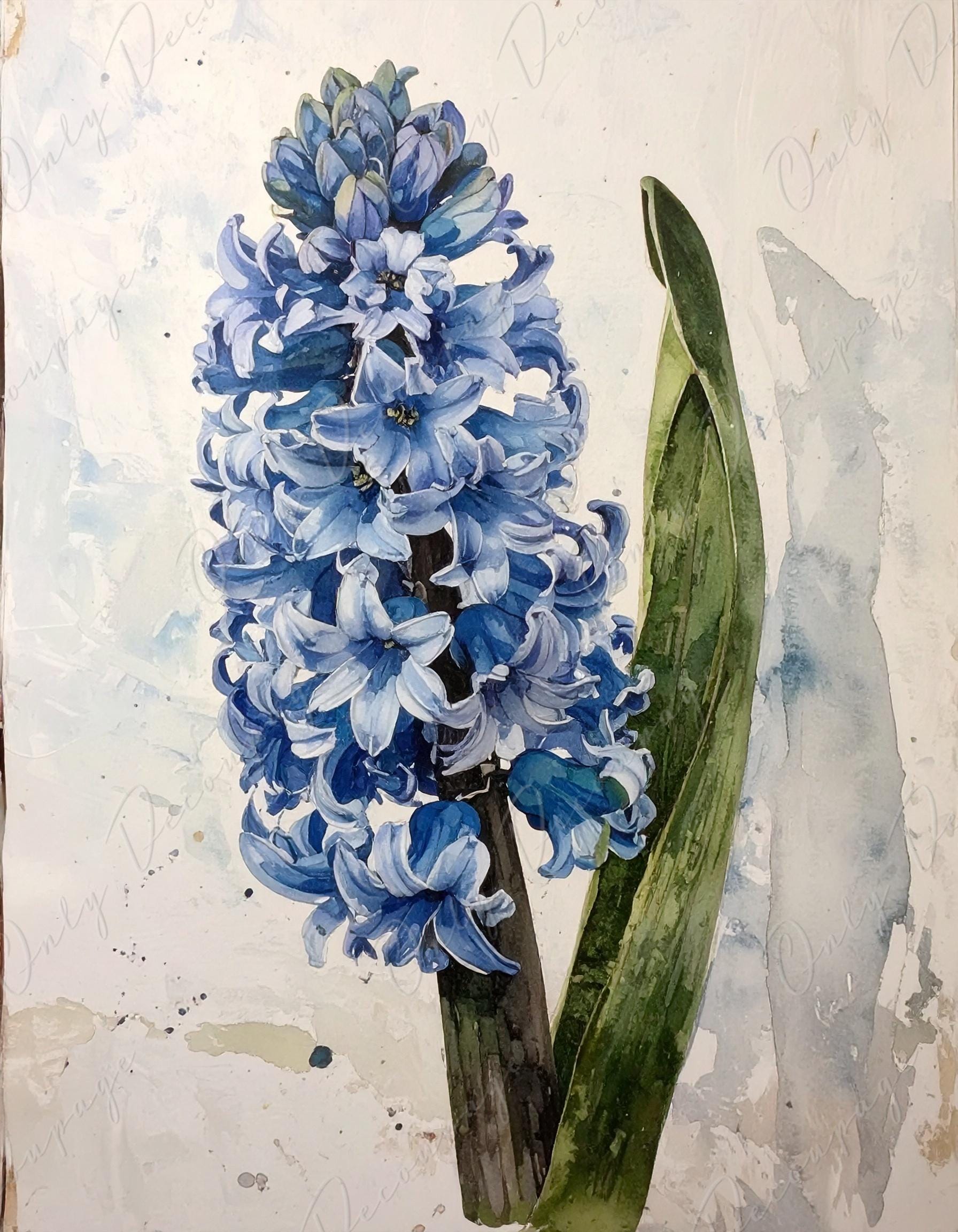 Decoupage Paper for Furniture - 7 Size Options - Botanical Art - Pastel Blue Hyacinth Flower