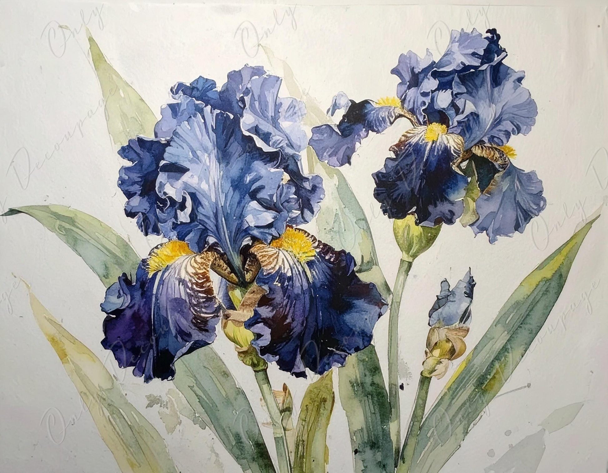 Decoupage Paper for Furniture - 7 Size Options - Botanical Art - Blue Iris Flower Bloom