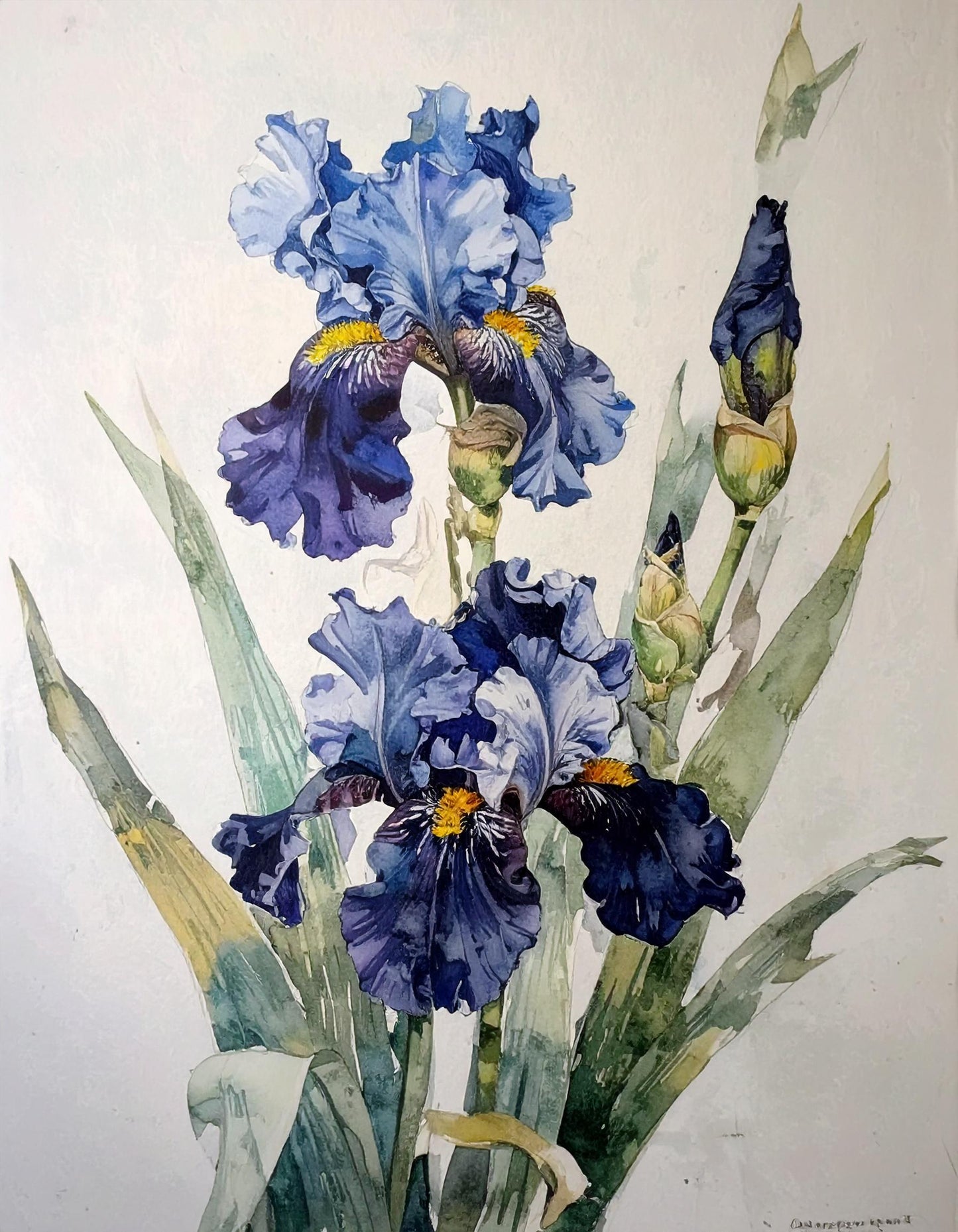 Decoupage Paper for Furniture - 7 Size Options - Botanical Art - Blue Iris Flower Bloom