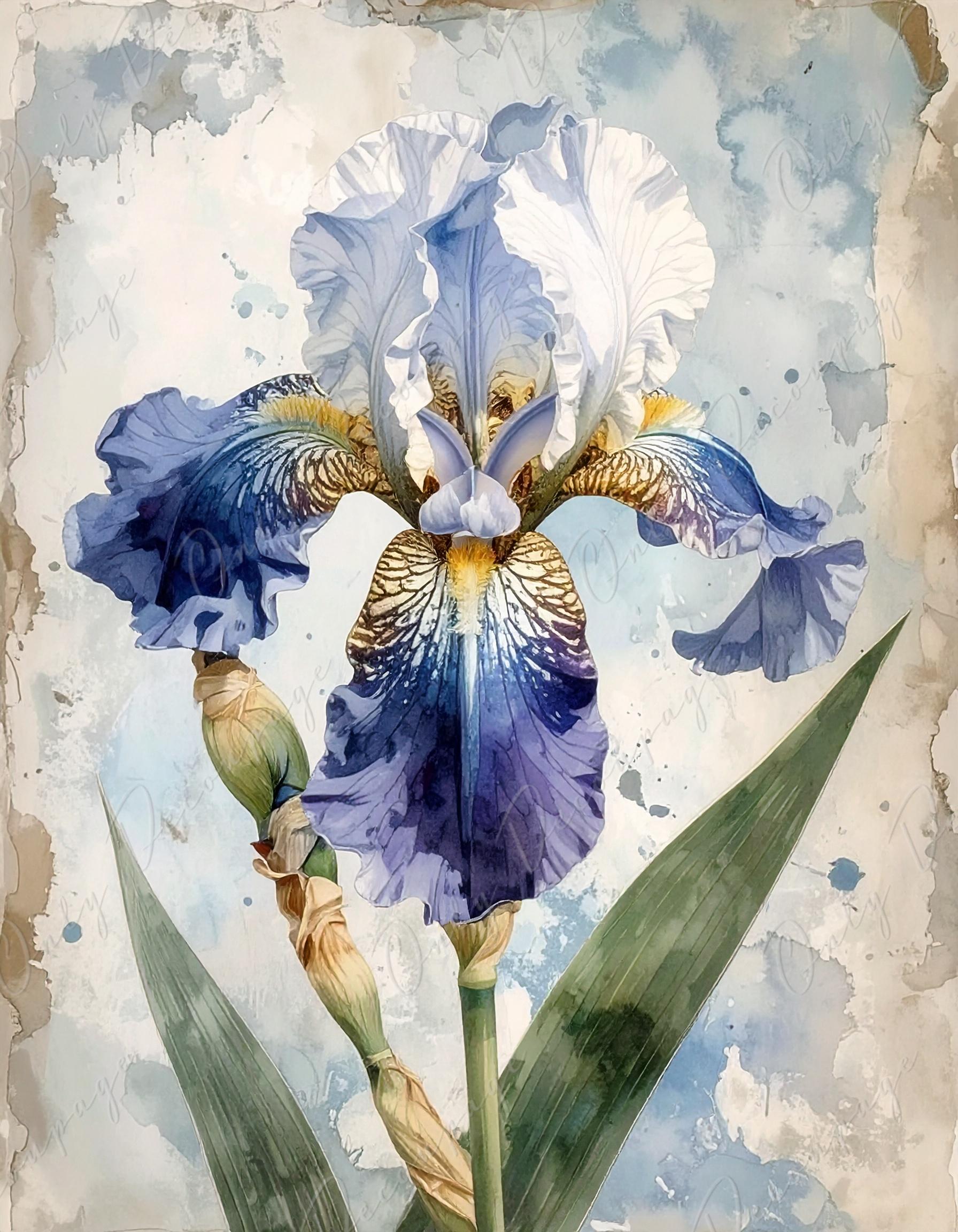 Decoupage Paper for Furniture - 7 Size Options - Botanical Art - Pastel Iris Flower