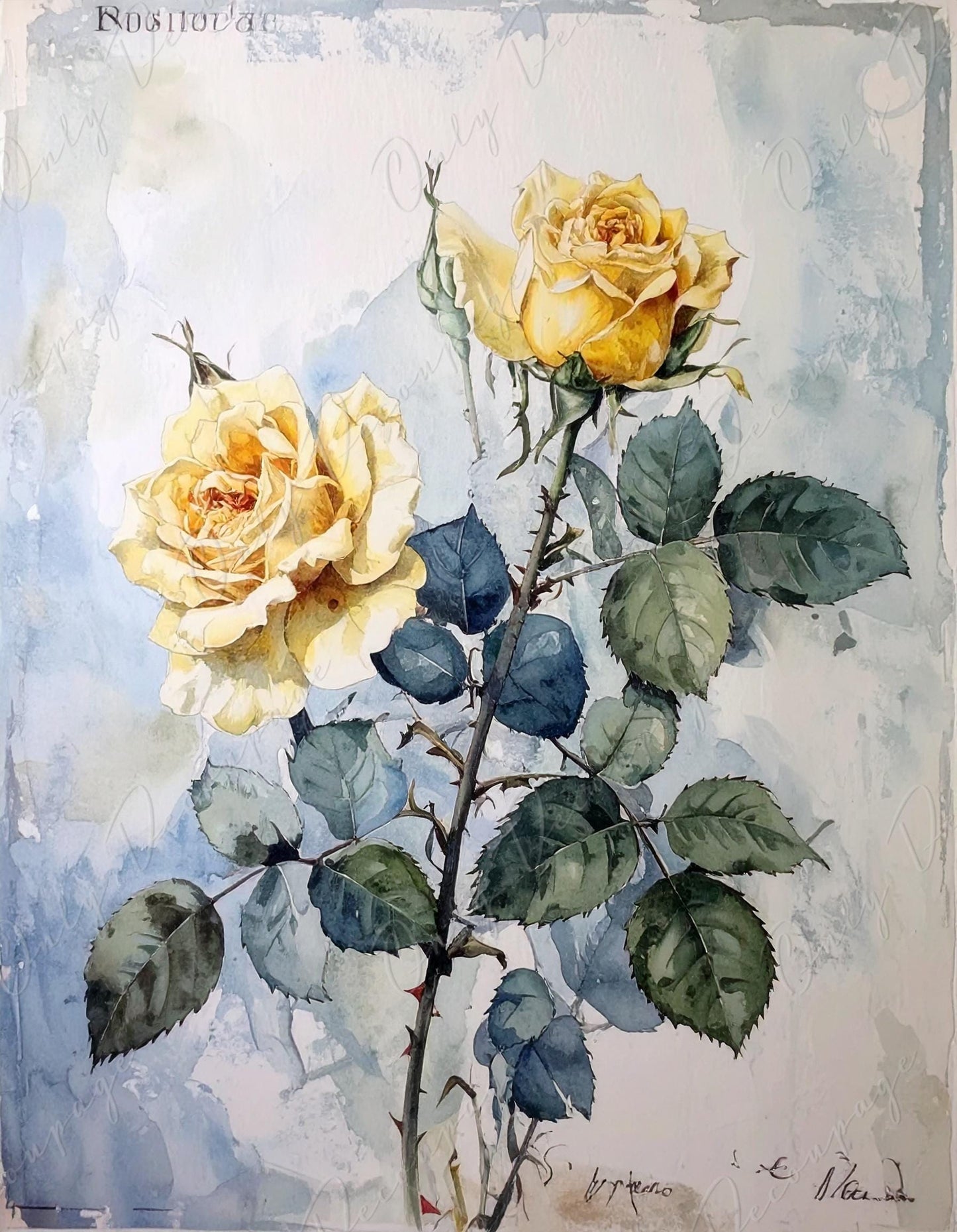 Decoupage Paper for Furniture - 7 Size Options - Botanical Art - Yellow Roses