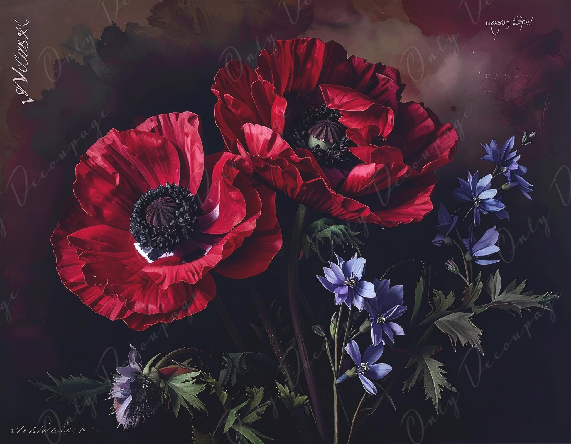 NEW! Chiaroscuro - Large Decoupage Paper for Furniture - 7 Size Options - Deep Red