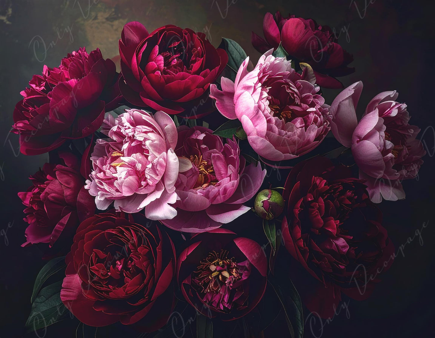 Crimson - Large Decoupage Paper for Furniture - 7 Size Options - Chiaroscuro - Roses