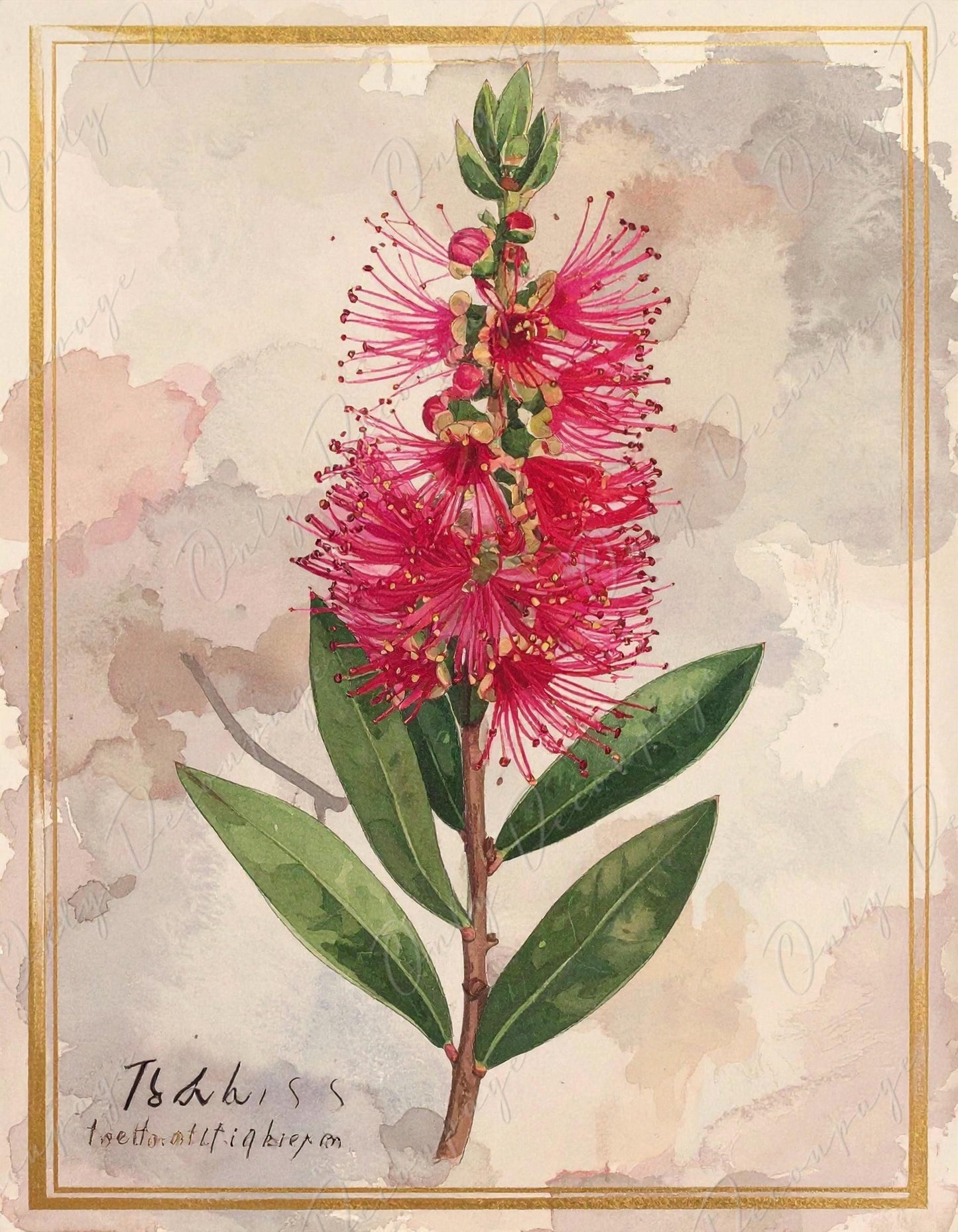 Watercolor Botanical Art - 7 Size Options - Large Decoupage Paper for Furniture - Antique Floral Illustration