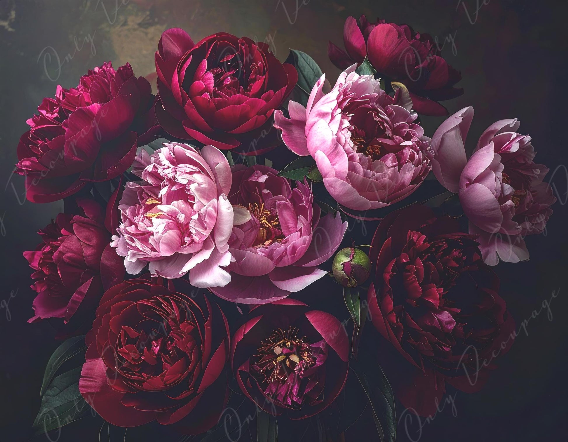 Crimson - Large Decoupage Paper for Furniture - 7 Size Options - Chiaroscuro - Roses