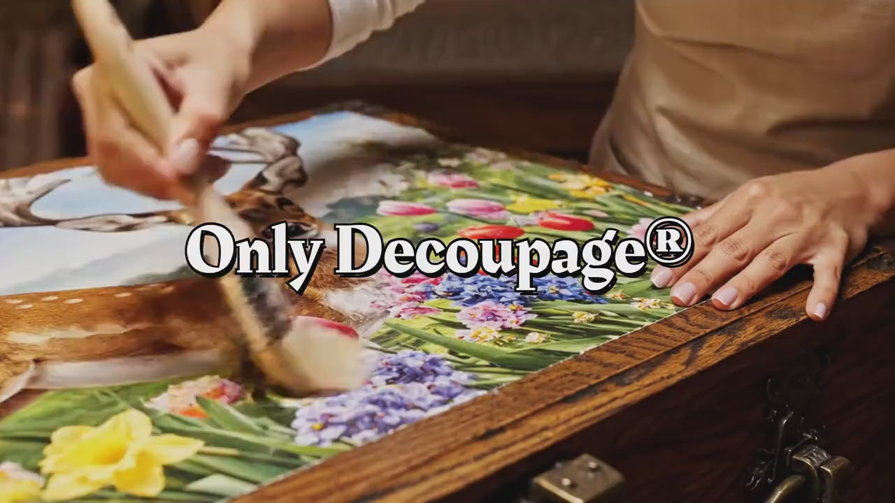 Furniture Decoupage Paper — 8 Size Options — Alice in Wonderland Rice Paper
